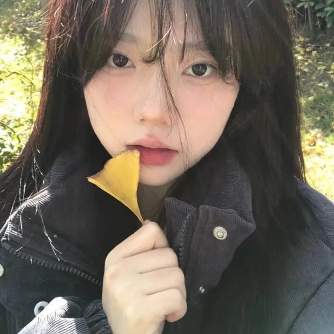 青囊传